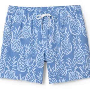 Chubbies Stretch 5.5” Swim Trunks - Men’s The Thigh-naples